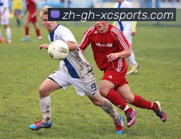 杏彩体育APP 体育赛事宣传图